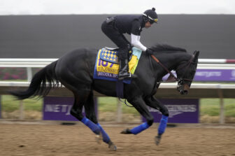 Horse Racing: Breeders' Cup-Workouts