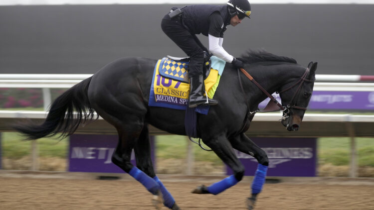 Horse Racing: Breeders' Cup-Workouts