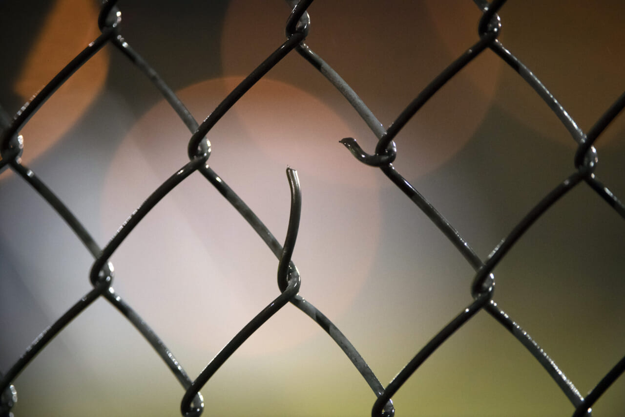 Protestors Arrested Outside Of Congressional Baseball Game Following